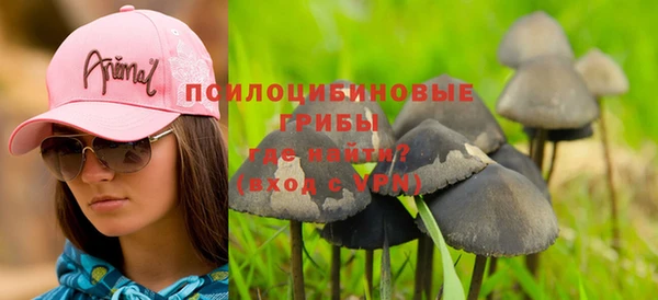 стафф Магас