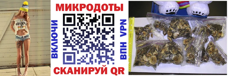 Галлюциногенные грибы Psilocybe  Купить закладки  Нефтегорск 