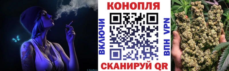 Шишки марихуана семена Нефтегорск